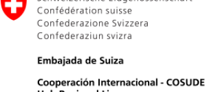 logo-cosude2025